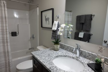 Full Bathroom of a 3 Bedroom Unit in The Timbers, a high-end townhouse community by Socha Companies in Manchester NH
